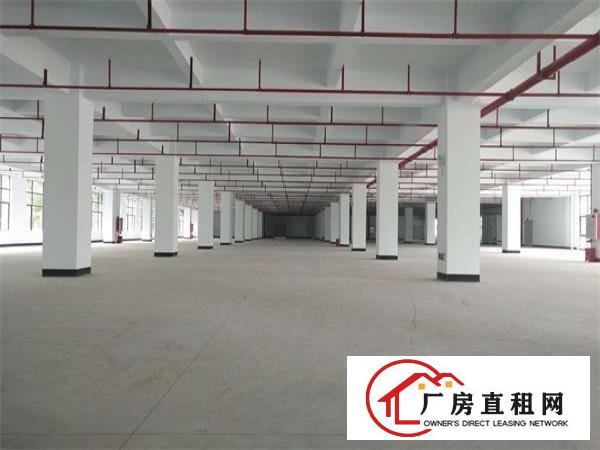  凤岗五联工业园厂房每层3300平方！可分租！带红本，免租期长