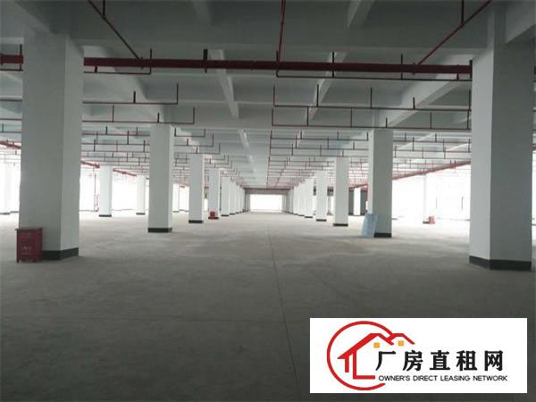  凤岗五联工业园厂房每层3300平方！可分租！带红本，免租期长