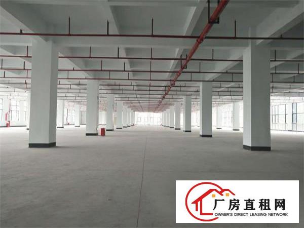  凤岗五联工业园厂房每层3300平方！可分租！带红本，免租期长