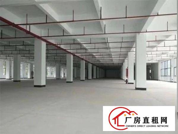  凤岗五联工业园厂房每层3300平方！可分租！带红本，免租期长