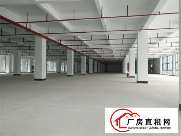  凤岗五联工业园厂房每层3300平方！可分租！带红本，免租期长