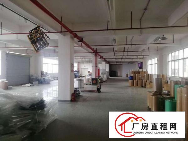  带消防喷淋办公室浸校塘标准厂房出租楼上1050平价格便宜