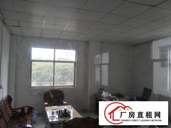  带消防喷淋办公室浸校塘标准厂房出租楼上1050平价格便宜