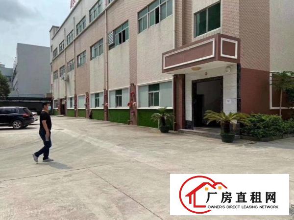  （口罩证件）的洁净车间，豪华装修，价格好谈，环境优美，空地大