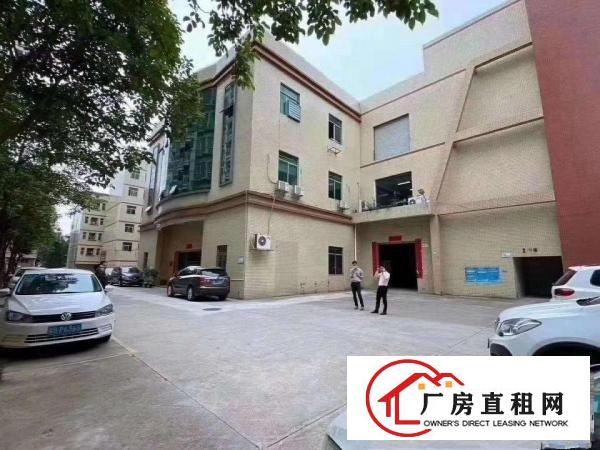  18块标准一楼！凤岗雁田布心一楼厂房出租1050平有办公室