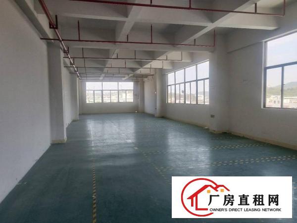  金凤凰新出楼上一整层2000平方，现成装修，交通方便
