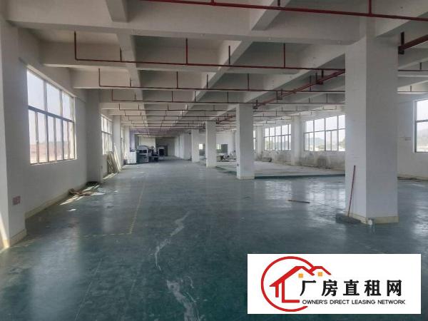  金凤凰新出楼上一整层2000平方，现成装修，交通方便