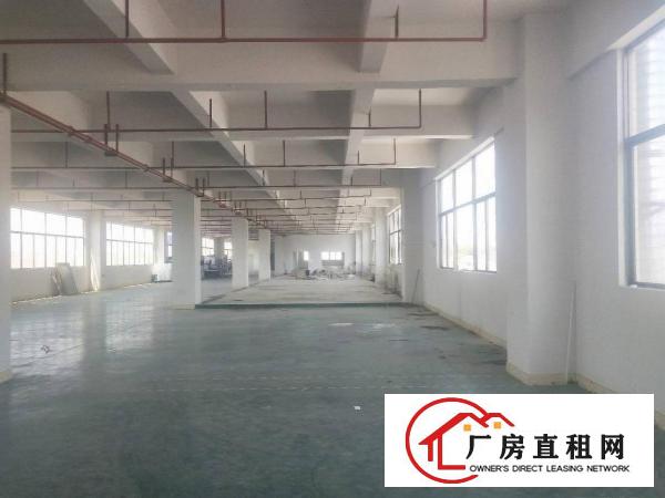  金凤凰新出楼上一整层2000平方，现成装修，交通方便