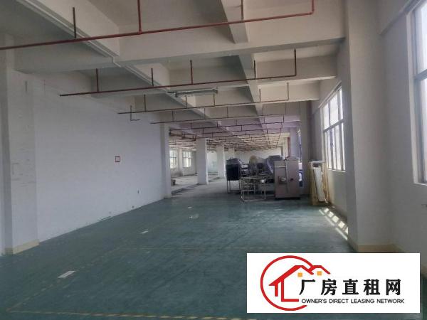  金凤凰新出楼上一整层2000平方，现成装修，交通方便