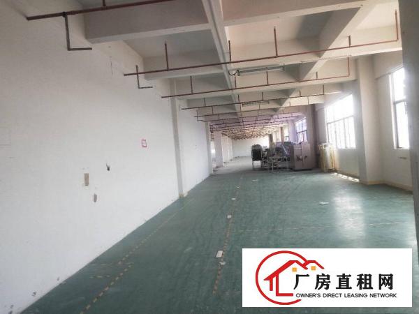  金凤凰新出楼上一整层2000平方，现成装修，交通方便