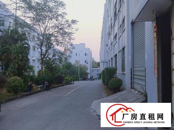  （业主直租）凤岗刚刚空出500平米厂房带装修水电办公室齐全