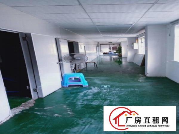  （业主直租）凤岗刚刚空出500平米厂房带装修水电办公室齐全
