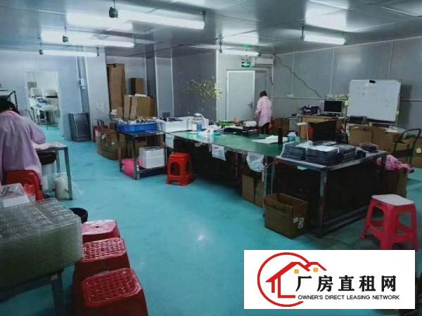  精装修，无尘车间出租，现成办公室水电，绿色地坪漆，拎包入住