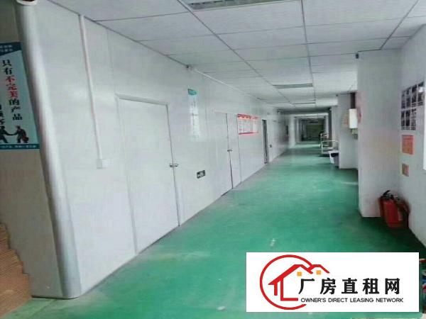  精装修，无尘车间出租，现成办公室水电，绿色地坪漆，拎包入住