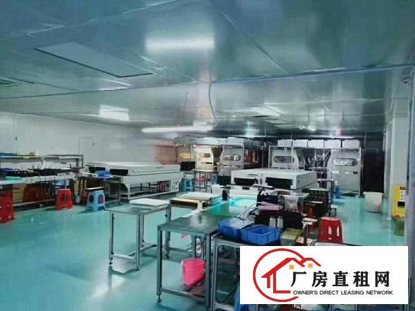  精装修，无尘车间出租，现成办公室水电，绿色地坪漆，拎包入住