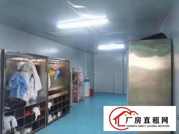  精装修，无尘车间出租，现成办公室水电，绿色地坪漆，拎包入住