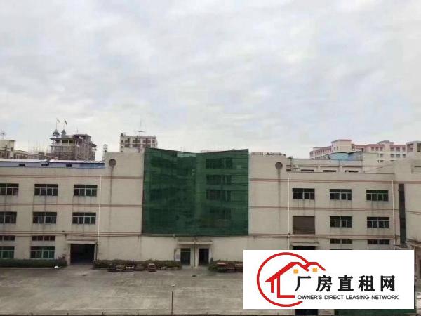  精美独院厂房10000平方