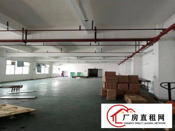  凤岗嘉辉附近新出楼上厂房，1800平方，现成装修豪华办公室