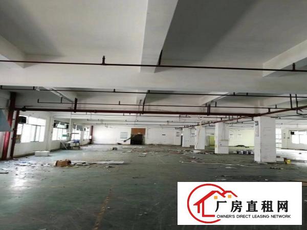  凤岗嘉辉附近新出楼上厂房，1800平方，现成装修豪华办公室
