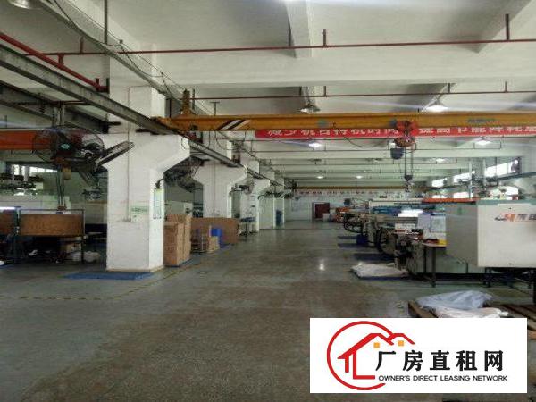  凤岗金凤凰1000平方一楼出租