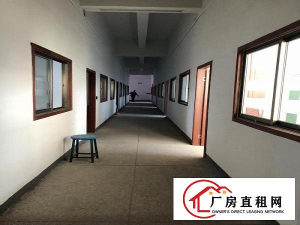  雁田近平湖横岗新出重工业厂房楼上1200平可做充电宝喷油行业