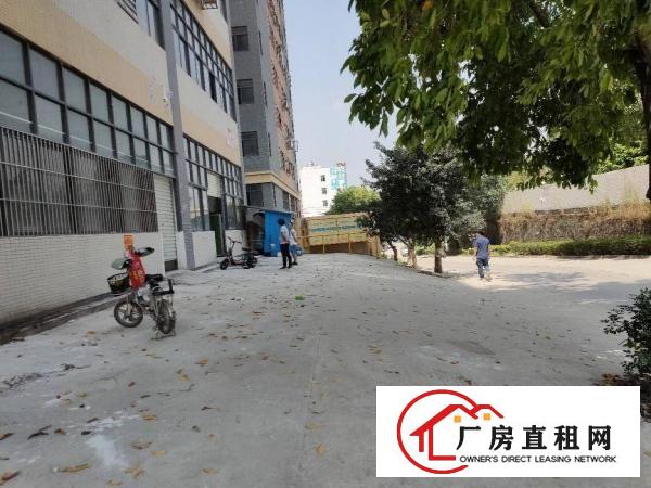  现成隔好的一楼300平方招租