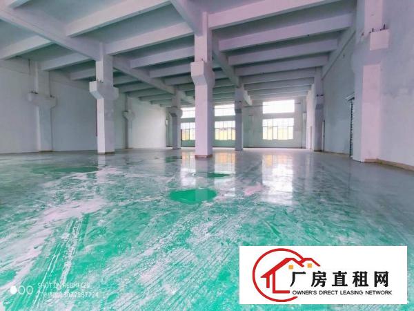  金凤凰一楼带牛角1100平方全新地坪漆适合所有行业