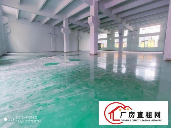  金凤凰一楼带牛角1100平方全新地坪漆适合所有行业