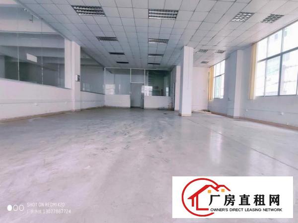  金凤凰一楼带牛角1100平方全新地坪漆适合所有行业