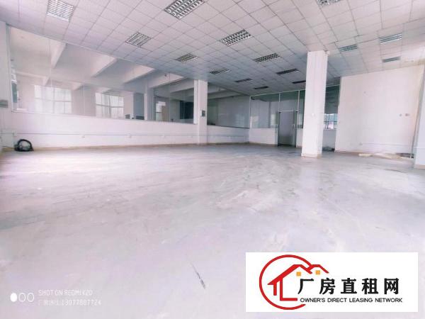  金凤凰一楼带牛角1100平方全新地坪漆适合所有行业