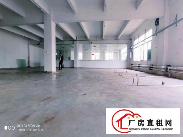  金凤凰一楼带牛角1100平方全新地坪漆适合所有行业