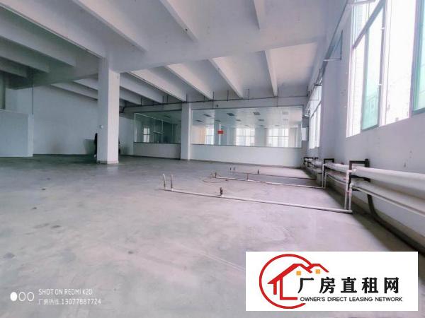  金凤凰一楼带牛角1100平方全新地坪漆适合所有行业