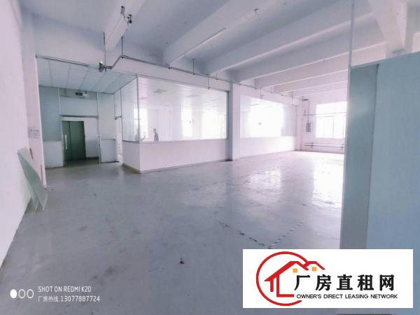  金凤凰一楼带牛角1100平方全新地坪漆适合所有行业