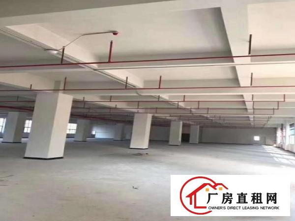  全新重工业厂房面积1000平到10000平