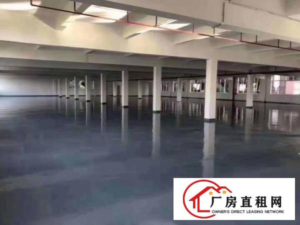  电商仓库办公贸易10000平方