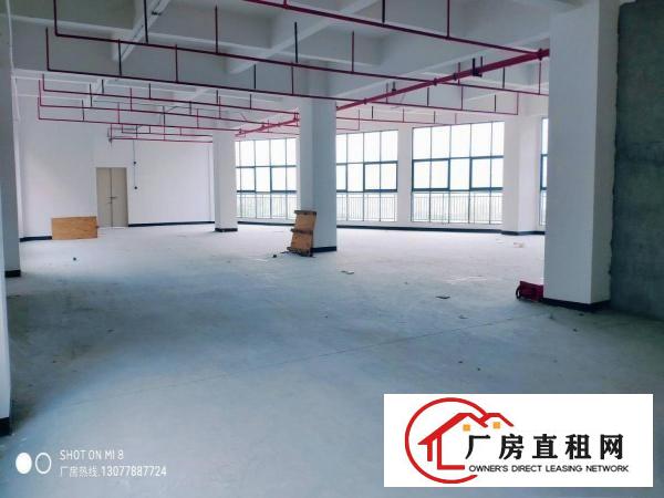  五联石头岭原房东全新厂房2楼
