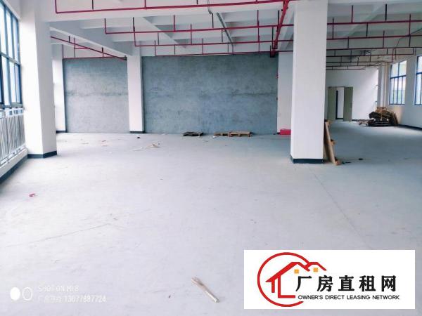  五联石头岭原房东全新厂房2楼