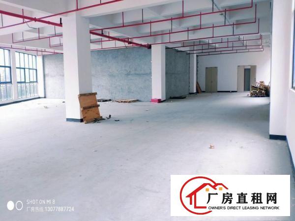  五联石头岭原房东全新厂房2楼