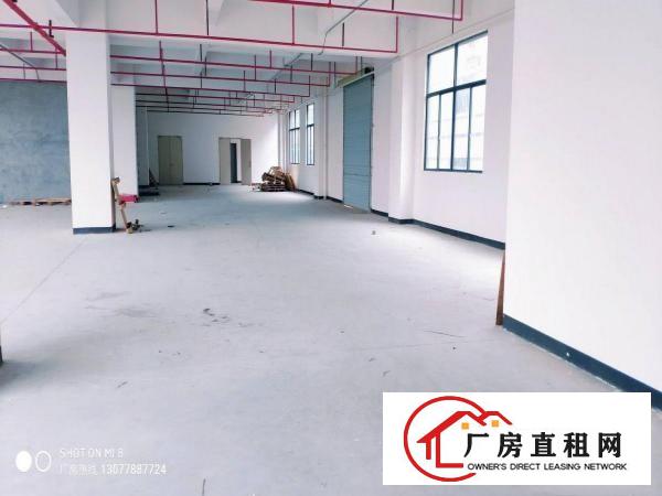  五联石头岭原房东全新厂房2楼