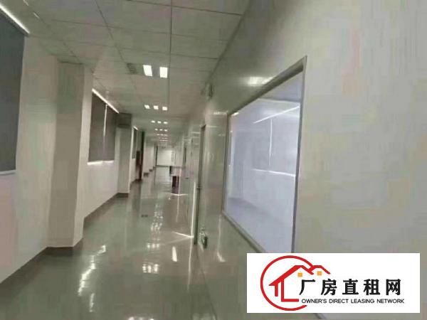  凤岗镇临深片区医疗口罩万级无尘车间独立厂房8800平米出租