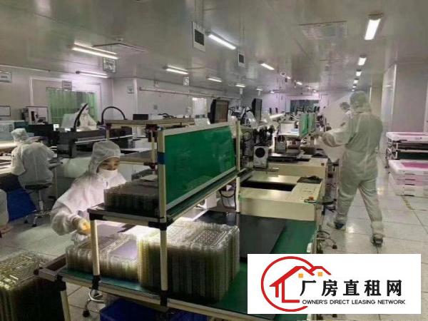  凤岗镇临深片区医疗口罩万级无尘车间独立厂房8800平米出租