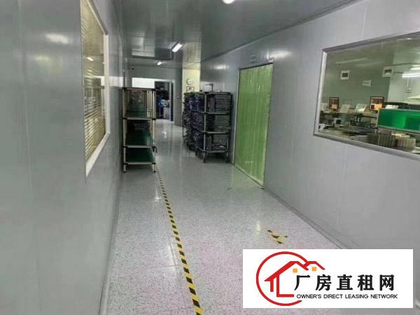  凤岗镇临深片区医疗口罩万级无尘车间独立厂房8800平米出租