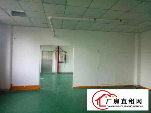  凤岗金凤凰楼上带装修小面积厂房出租400平价格便宜