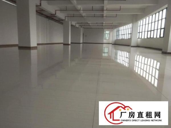  凤岗五联新出原房东600整层精装修厂房出租