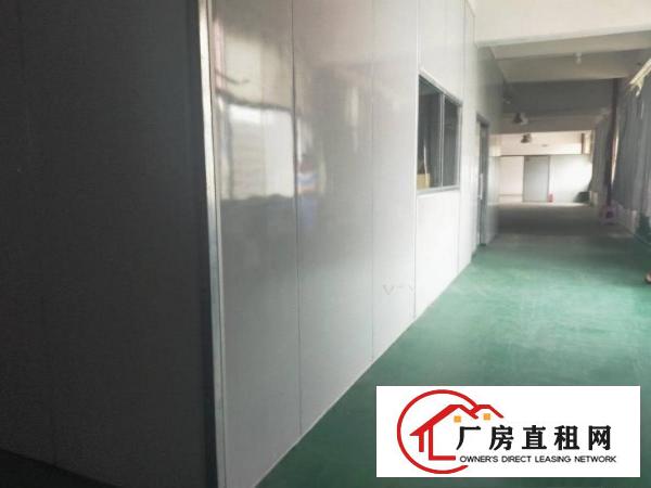  电子电商口罩厂行业，豪华办公室装修，周边环境配套，好招工