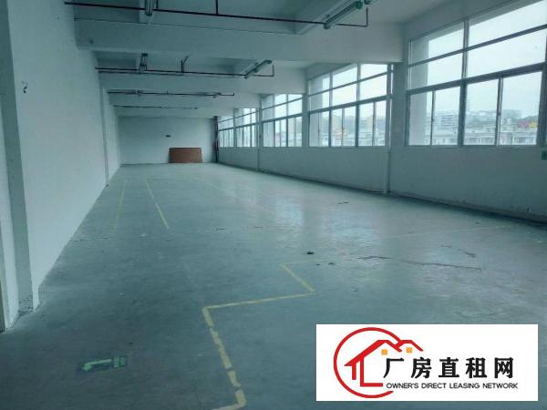  电子电商口罩厂行业，豪华办公室装修，周边环境配套，好招工