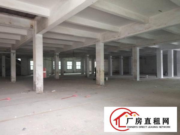 凤岗五联新出独院厂房，独栋单层面积1800平方，超大空地