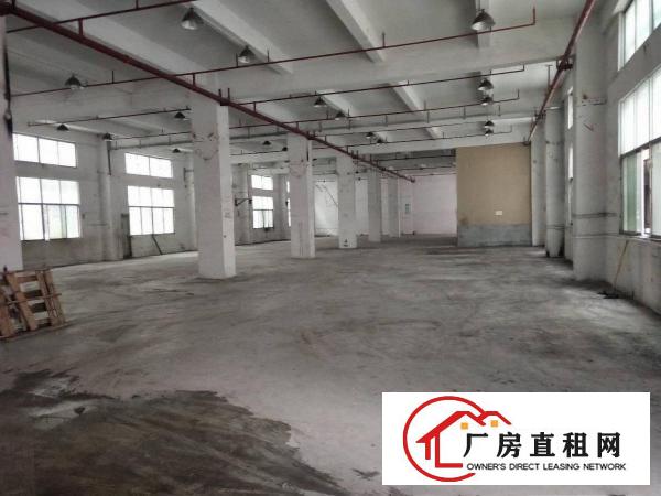  凤岗五联新出独院厂房，独栋单层面积1800平方，超大空地