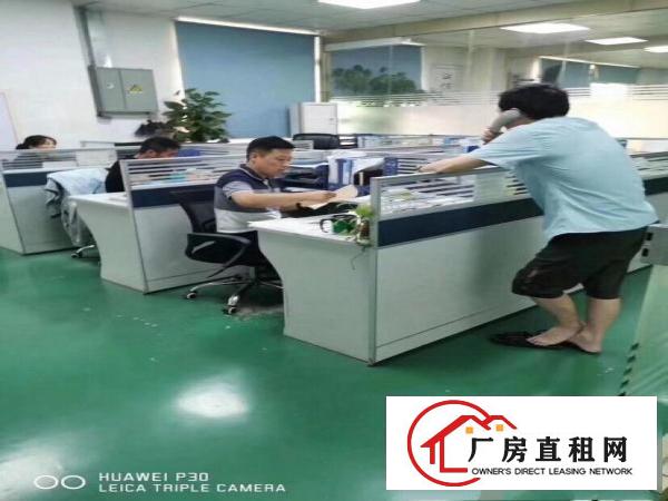  雁田海关旁边原房东三楼800平方精装修