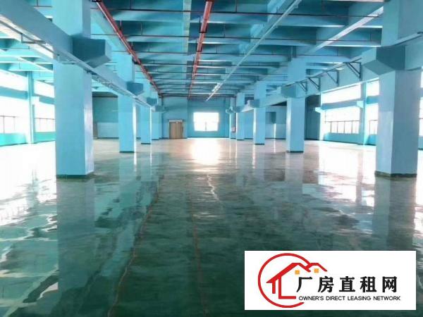  凤岗近深圳新出6米高标准一楼1100平方带装修急租